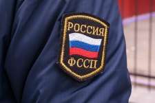 Россиянам напомнили о возможности лишиться животного за долги